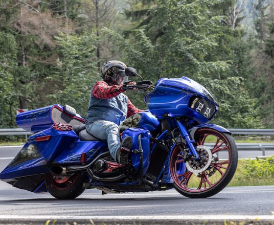 Obrázek reference 73