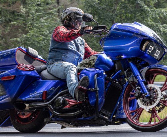 Obrázek reference 74