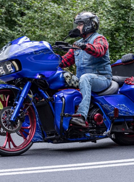 Reference top Demon 66 Bagger